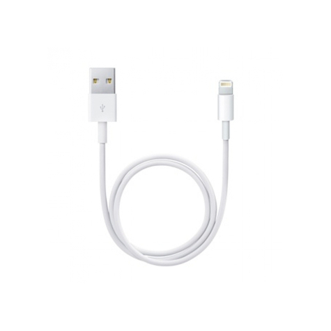 Apple Lightning Auf Usb Kabel (0,50 M)