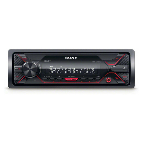Sintonizzatore Multimediale Sony Dsx-A310dab / Aux / Usb / Ipod / Dab + (Rosso)