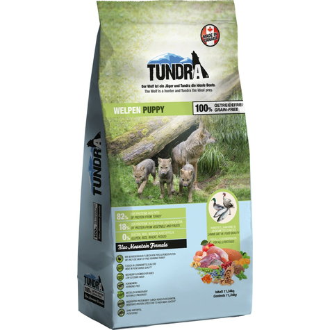 Toundra, chiot toundra 11,34 kg