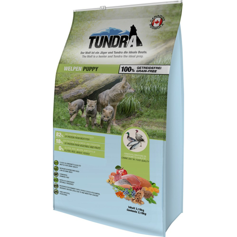 Toundra, chiot toundra 3,18 kg