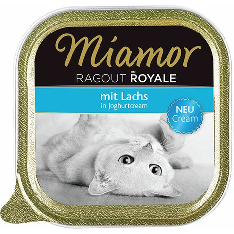 Finnern miamor, yogourt au saumon miam.Ragroy 100g