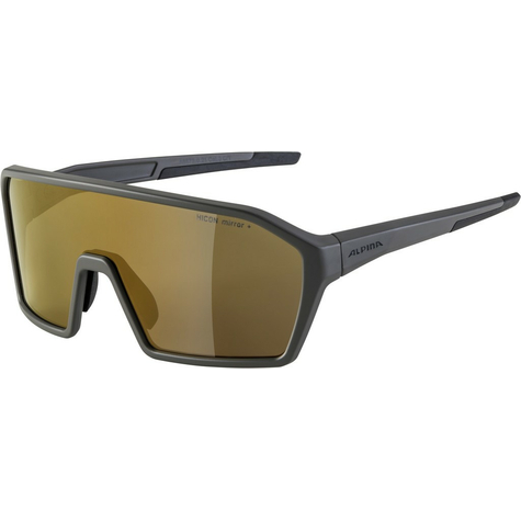 Sunglasses Alpina Ram Hm+