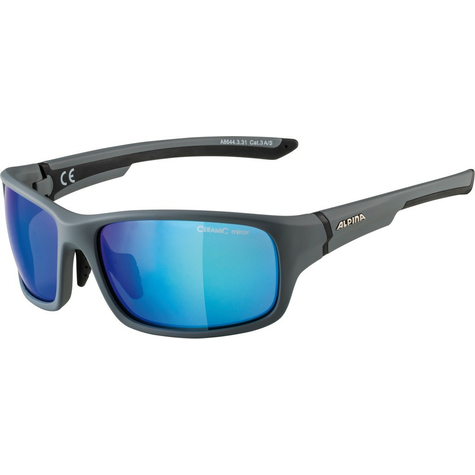 Sunglasses Alpina Lyron S