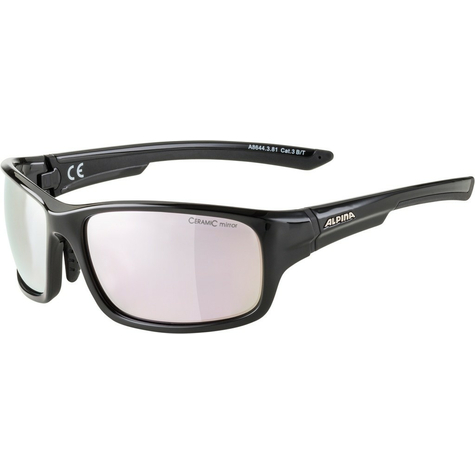 Sunglasses Alpina Lyron S