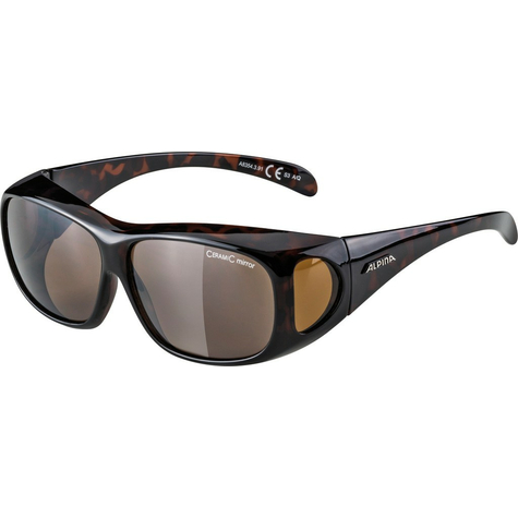 Sunglasses Alpina Overview