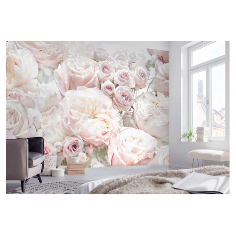 Papier Fototapete - Spring Roses - Größe 368 X 254 Cm