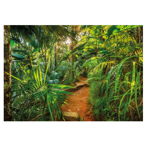 Papier Fototapete - Jungle Trail - Größe 368 X 254 Cm