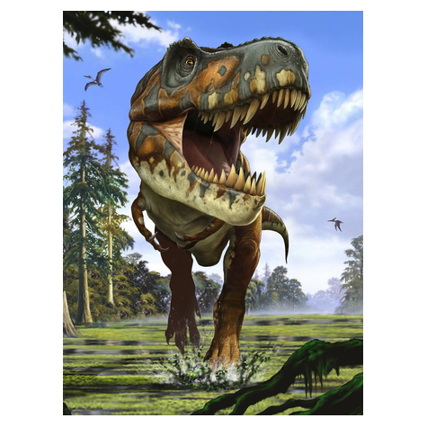 Vlies Fototapete - Tyrannosaurus Rex - Größe 184 X 248 Cm