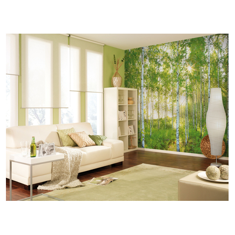 Non-Woven Wallpaper - Sunday - Size 368 X 248 Cm