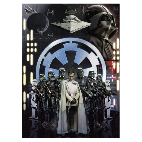 Carta Da Parati Adesiva Fotografica  - Star Wars Empire - Dimensioni 200 X 275 Cm