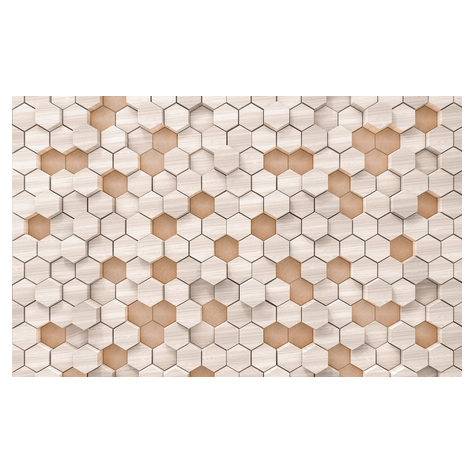 Vlies Fototapete - Woodcomb Nude - Größe 400 X 250 Cm