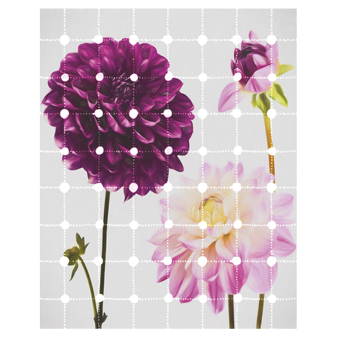 Vlies Fototapete - Flowers & Dots - Größe 200 X 250 Cm