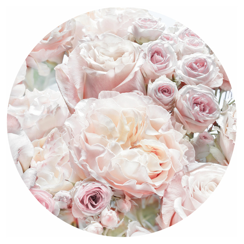 Selbstklebende Vlies Fototapete/Wandtattoo - Pink And Cream Roses - Größe 125 X 125 Cm