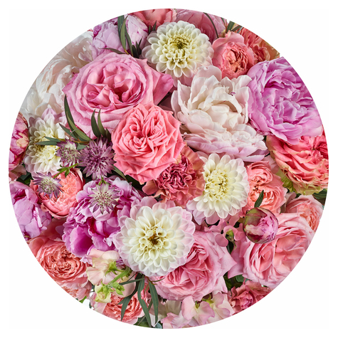 Selbstklebende Vlies Fototapete/Wandtattoo - Beautiful Blossoms - Größe 125 X 125 Cm