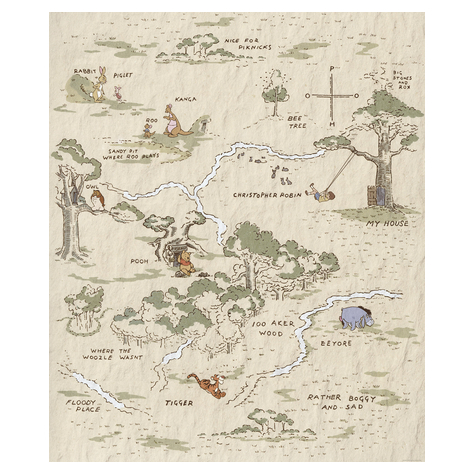Carta Da Parati Adesiva Fotografica  - Mappa Di Winnie The Pooh - Dimensioni 200 X 240 Cm
