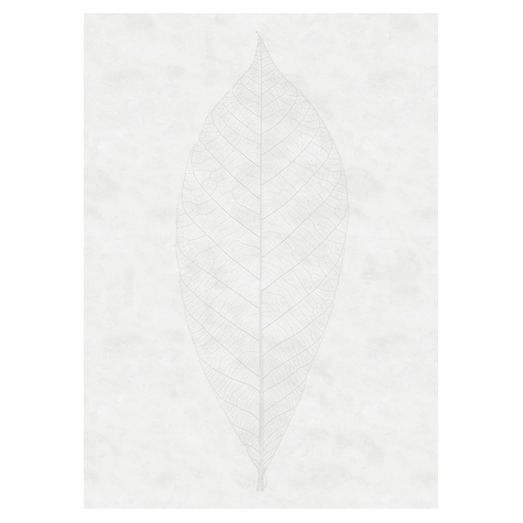 Papier peint photo - decent leaf - dimensions 200 x 280 cm