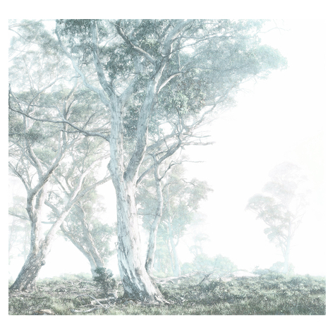 Non-Woven Wallpaper - Magic Trees - Size 300 X 280 Cm