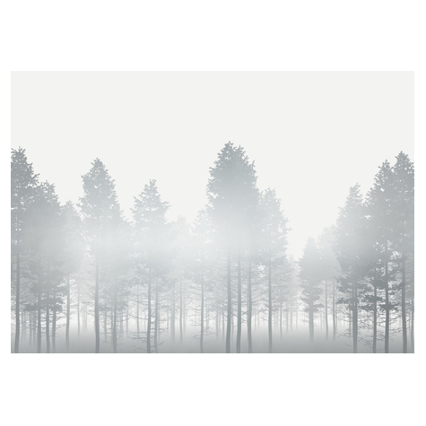 Papier peint photo - silver haze - dimensions 400 x 280 cm