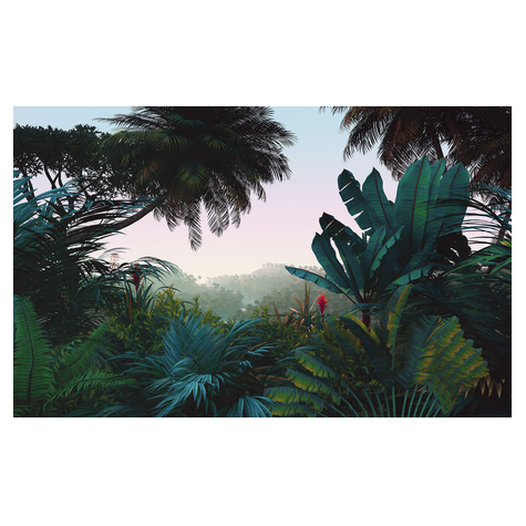Vlies Fototapete - Jungle Morning - Größe 400 X 250 Cm