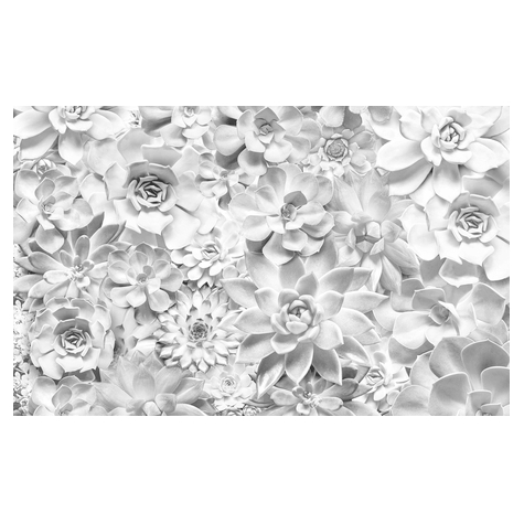 Papier peint photo - shades black and white - dimensions 400 x 250 cm