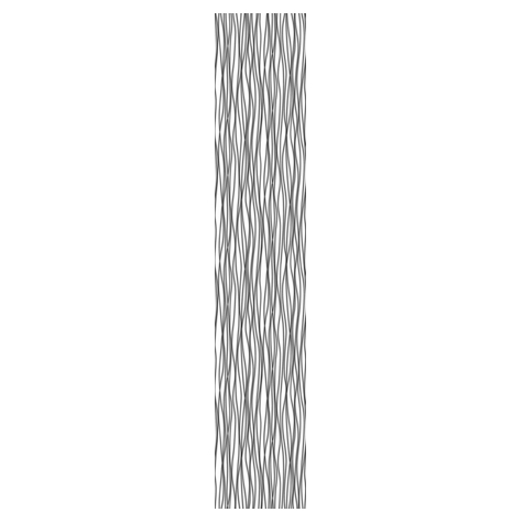 Carta Da Parati Adesiva Fotografica  - Zebra - Dimensioni 50 X 270 Cm