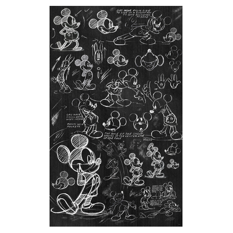Vlies Fototapete - Mickey Chalkboard - Größe 120 X 200 Cm