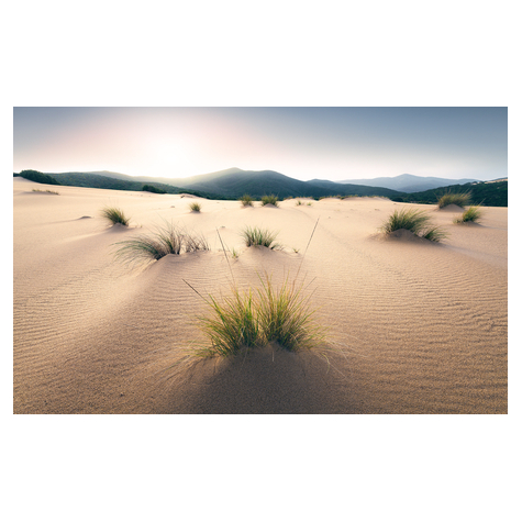 Carta Da Parati Adesiva Fotografica  - Dune Vivaci - Dimensioni 450 X 280 Cm