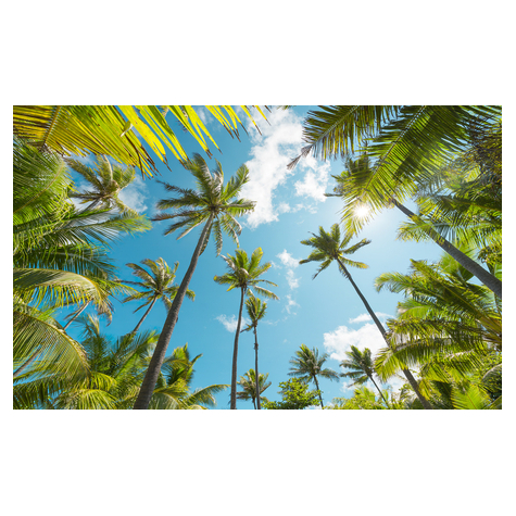 Vlies Fototapete - Coconut Heaven  - Größe 450 X 280 Cm