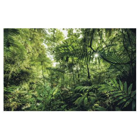 Papier peint photo - into the jungle - dimensions 400 x 250 cm