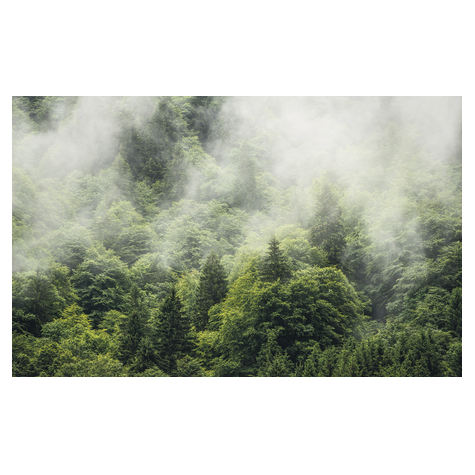 Vlies Fototapete - Forest Land - Größe 400 X 250 Cm