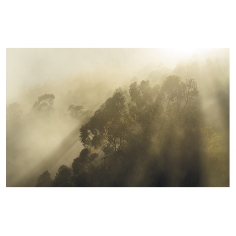 Papier peint photo - misty mountain - dimensions 400 x 250 cm