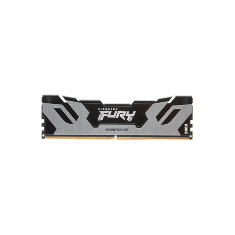 Kingston Fury Renegade 16 Gb 6000 Mhz Ddr5 Cl32 Argento Kf560c32rs-16