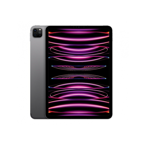 Apple Ipad Pro 128gb 11 Wi-Fi Space Gray Di Quarta Generazione Mnxd3fd/A