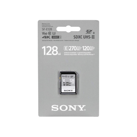 Sony Sdxc Serie E 128 Gb Uhs-Ii Classe 10 U3 V60 - Sfe128
