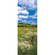 Vlies Fototapete - Meadow - Größe 100 X 280 Cm