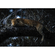 Carta Da Parati Adesiva Fotografica  - Panthera - Formato 400 X 280 Cm