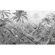 Papier peint photo - amazonia black and white - dimensions 400 x 250 cm