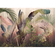 Papier peint photo - rainforest mist - dimensions 350 x 250 cm