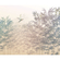 Carta Da Parati Adesiva Fotografica  - Bamboo Paradise - Dimensioni 300 X 250 Cm