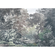 Carta Da Parati Adesiva Fotografica  - Foresta Da Favola - Dimensioni 400 X 280 Cm