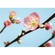 Carta Da Parati Adesiva Fotografica  - Peach Blossom - Dimensioni 350 X 250 Cm