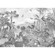 Carta Da Parati Adesiva Fotografica  - Flora E Fauna - Dimensioni 350 X 250 Cm