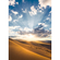 Carta Da Parati Adesiva Fotografica  - Desert Magic - Dimensioni 200 X 280 Cm